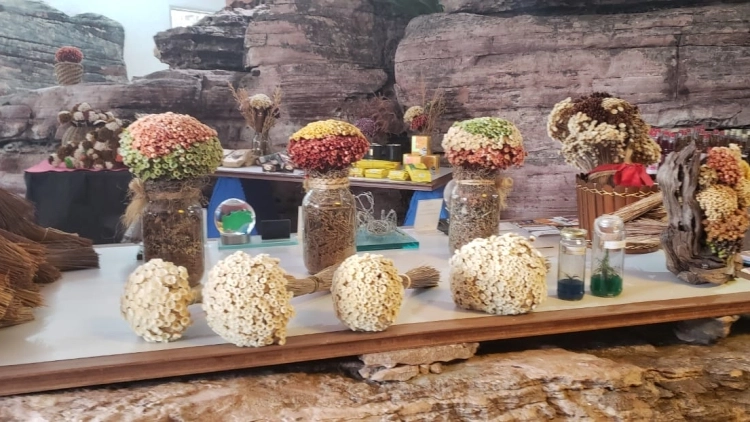Imagem de vitrine